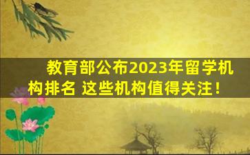 教育部公布2023年留学机构排名 这些机构值得关注！